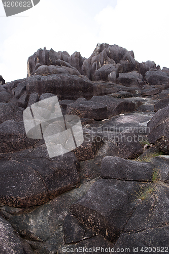 Image of Coastline at Curieuse island, Seychelles