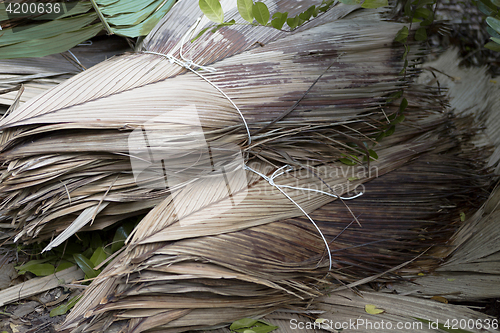 Image of Dried palm tree leaves at wayside