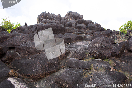 Image of Coastline at Curieuse island, Seychelles