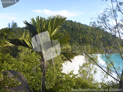 Image of Tropical panorama view, Praslin island, Seychelles