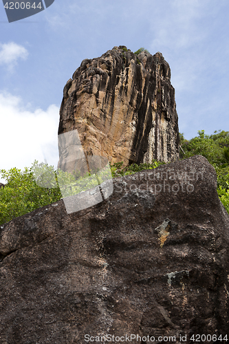 Image of Coastline at Curieuse island, Seychelles