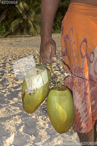 Image of Man carries coconuts