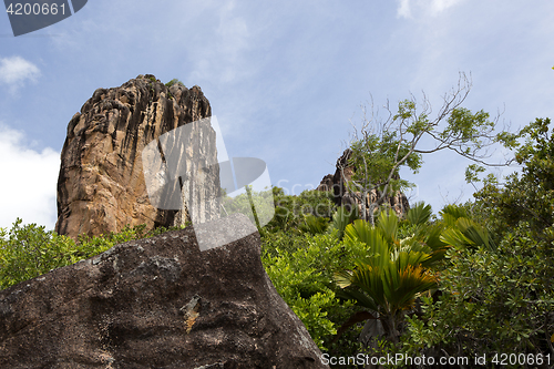 Image of Tropical coastline at Curieuse island, Seychelles