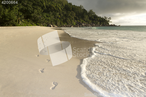 Image of Footprints at the beach