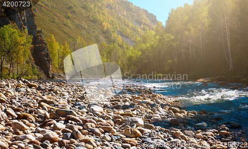 Image of Fast mountain river in Altay