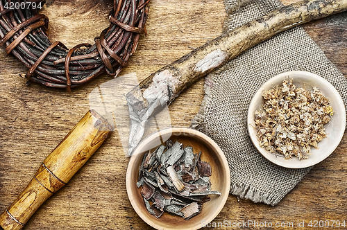 Image of Healing root of elecampane