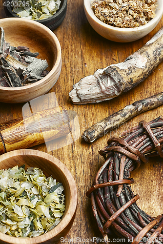 Image of Healing root of elecampane