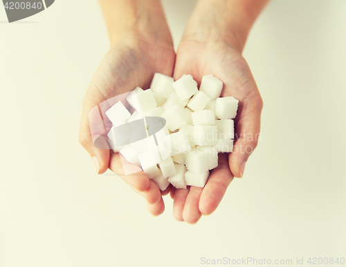 Image of close up of white lump sugar in woman hands
