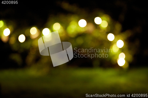 Image of garland lights at night summer garden background