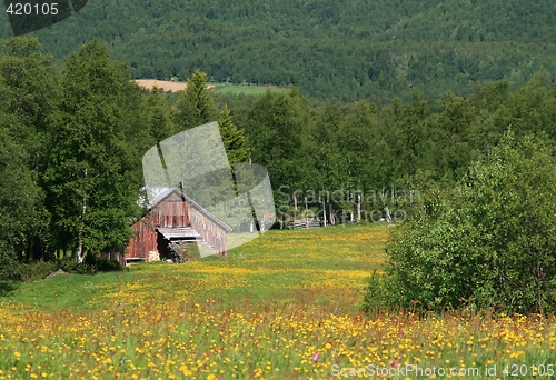 Image of Old barn and summer pasture