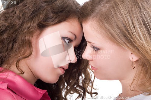 Image of Portrait of the two beauty young women. Isolated.