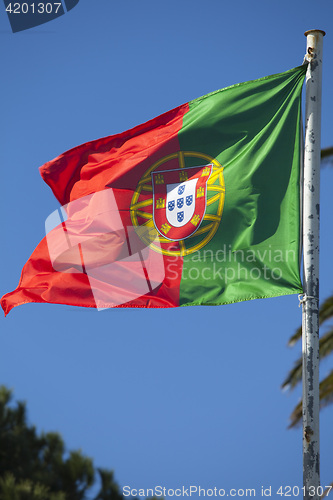 Image of The flag of portugal