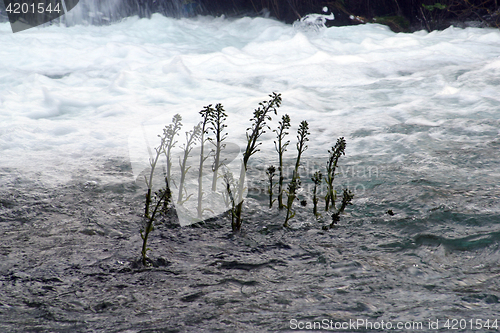 Image of Plitvice Lakes national park in Croatia