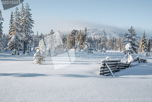 Image of Country on sunny day