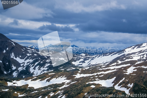 Image of Dientes de Navarino