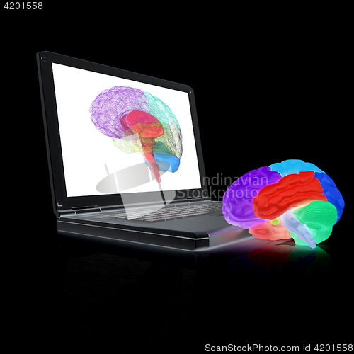 Image of creative three-dimensional model of real human brain and scan on