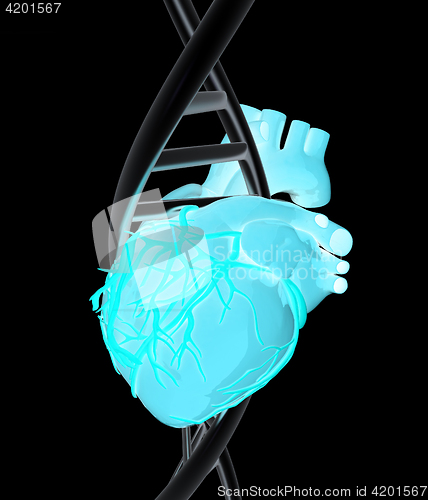 Image of DNA and heart. 3d illustration