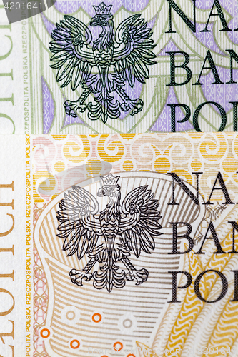 Image of Polish banknotes, close-up