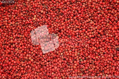 Image of Pink peppercorns background