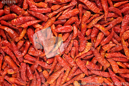 Image of Birds eye chillis background