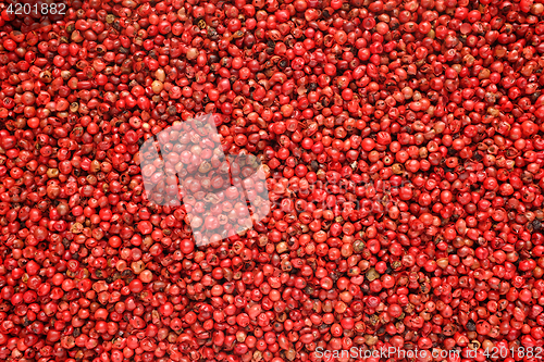 Image of Pink peppercorns background