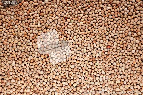 Image of Dried pigeon peas background