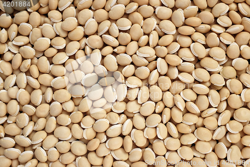 Image of Bitter neavy beans background