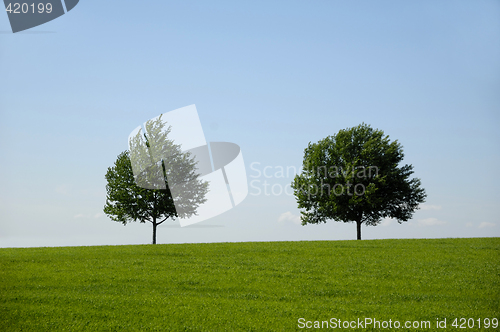 Image of Landscape with two trees