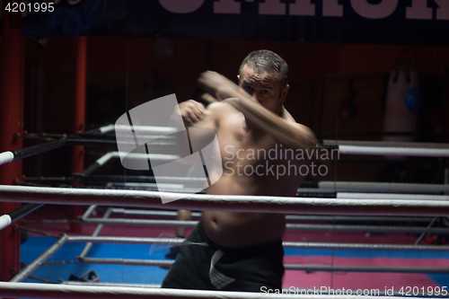 Image of professional kickboxer in the training ring