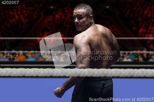 Image of professional kickboxer in the training ring