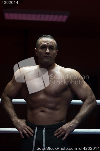 Image of portrait of muscular professional kickboxer