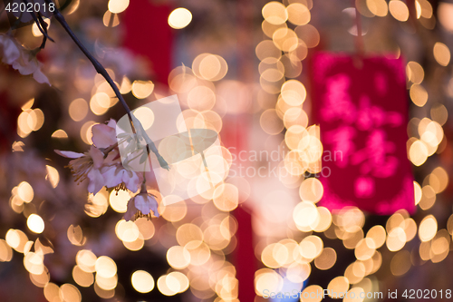 Image of traditional Japanese wishing tree