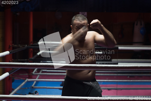 Image of professional kickboxer in the training ring