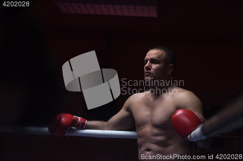 Image of kick boxer resting on the ropes in the corner