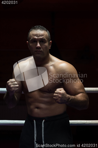 Image of professional kickboxer in the training ring