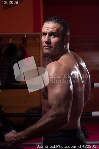 Image of professional kickboxer in the training ring