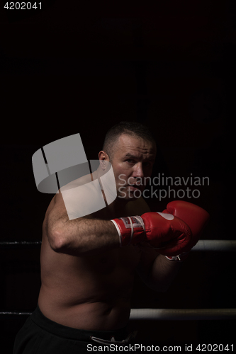 Image of professional kickboxer in the training ring