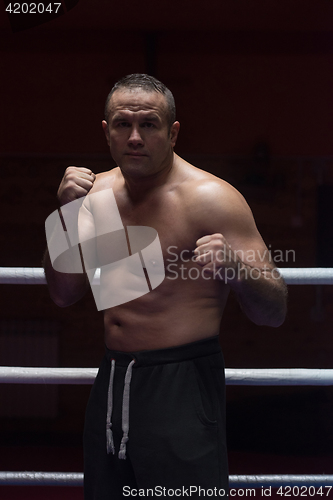 Image of professional kickboxer in the training ring