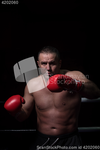 Image of professional kickboxer in the training ring