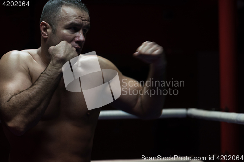 Image of professional kickboxer in the training ring