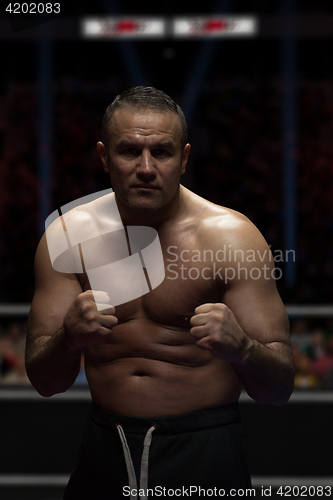 Image of professional kickboxer in the training ring