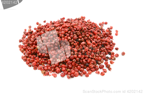 Image of Pink peppercorns