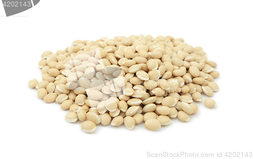 Image of Dried neavy beans