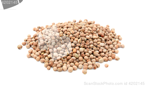 Image of Dried pigeon peas