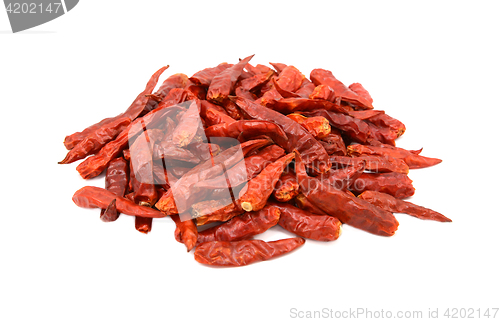 Image of Spicy red birds eye chilli peppers