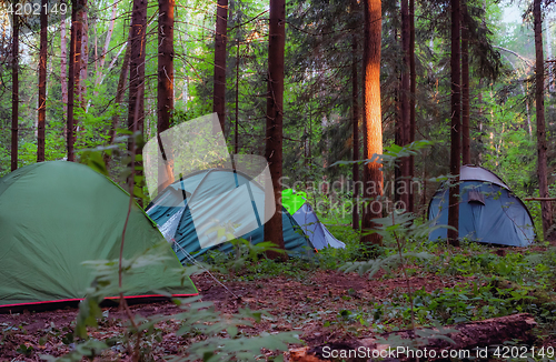 Image of Camping In The Forest
