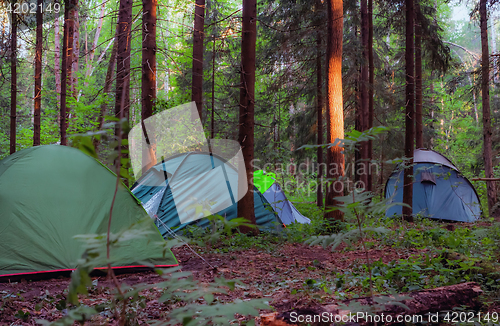 Image of Camping In The Forest