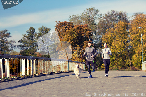 Image of happy couple with dog running outdoors