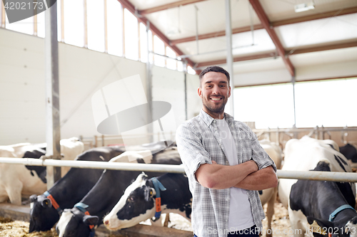 Image of man or farmer with cows in cowshed on dairy farm