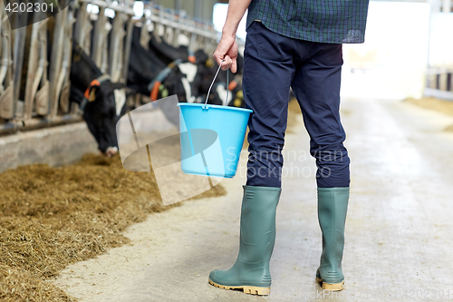 Image of man with bucket in cowshed on dairy farm